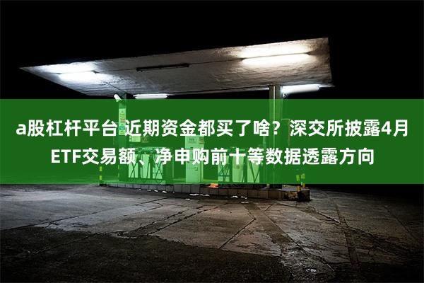 a股杠杆平台 近期资金都买了啥？深交所披露4月ETF交易额、净申购前十等数据透露方向