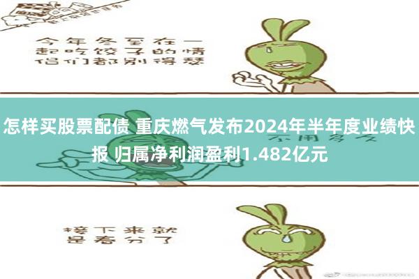 怎样买股票配债 重庆燃气发布2024年半年度业绩快报 归属净利润盈利1.482亿元