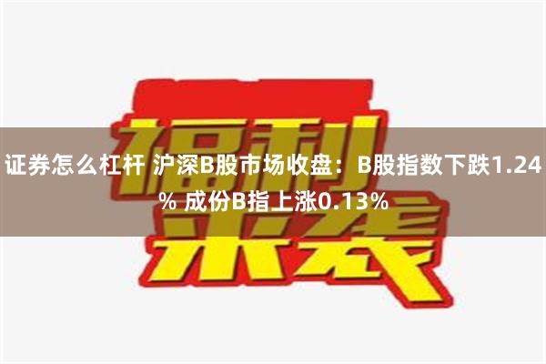 证券怎么杠杆 沪深B股市场收盘：B股指数下跌1.24% 成份B指上涨0.13%