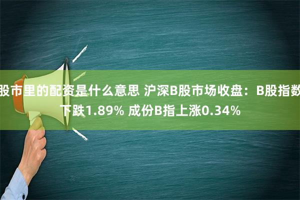 股市里的配资是什么意思 沪深B股市场收盘：B股指数下跌1.89% 成份B指上涨0.34%