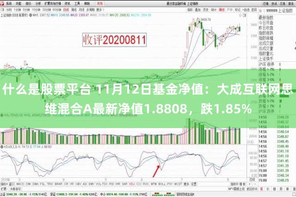 什么是股票平台 11月12日基金净值：大成互联网思维混合A最新净值1.8808，跌1.85%