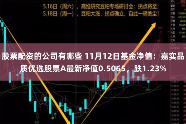 股票配资的公司有哪些 11月12日基金净值：嘉实品质优选股票A最新净值0.5065，跌1.23%