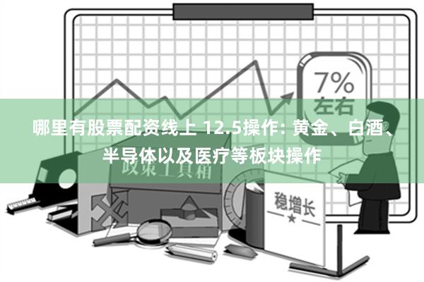 哪里有股票配资线上 12.5操作: 黄金、白酒、半导体以及医疗等板块操作