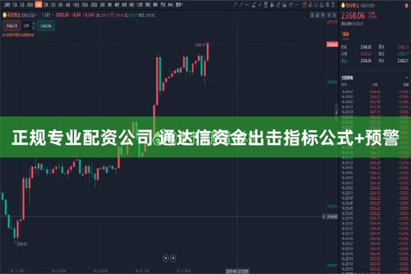 正规专业配资公司 通达信资金出击指标公式+预警