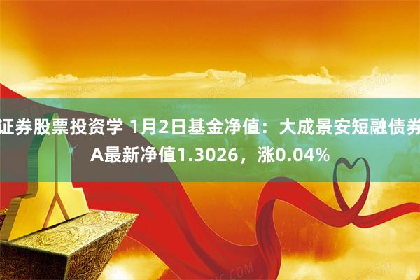 证券股票投资学 1月2日基金净值：大成景安短融债券A最新净值1.3026，涨0.04%