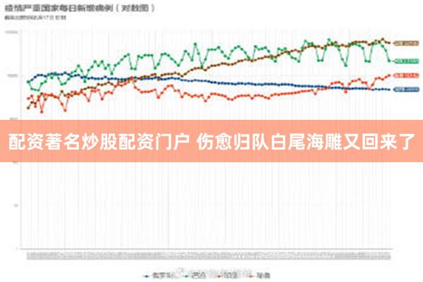 配资著名炒股配资门户 伤愈归队白尾海雕又回来了